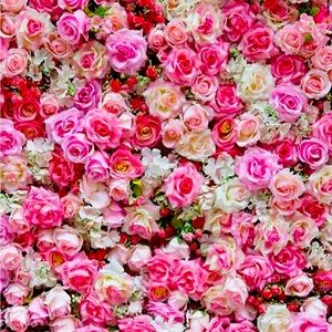 Meet your Posher, Spring